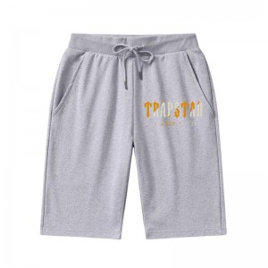 Short Trapstar It's A Secret Hombre Gris España | XD99-404