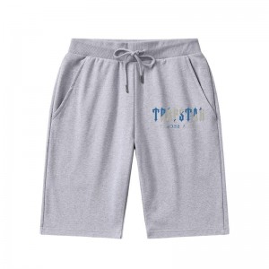 Short Trapstar It's A Secret Hombre Gris España | RH23-058