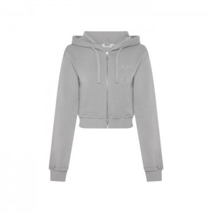 Sudadera con Capucha Trapstar TS-Star Silver Satin Applique Hoodie Mujer Gris España | UI29-720