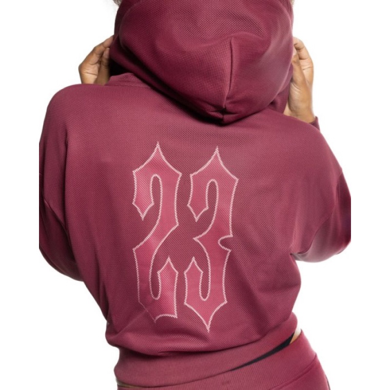 Sudadera con Capucha Trapstar Mesh Irongate Arch Hoodie Mujer Burdeos España | SC66-552