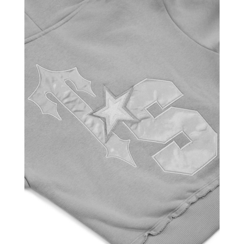 Sudadera con Capucha Trapstar TS-Star Silver Satin Applique Hoodie Mujer Gris España | UI29-720